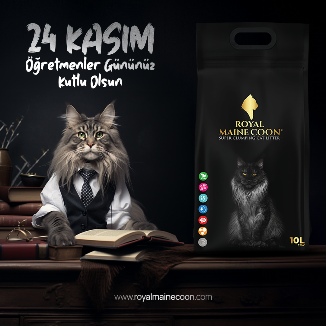 Web Tasarım Hizmeti